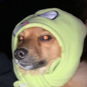 Meet your Posher, Chloe